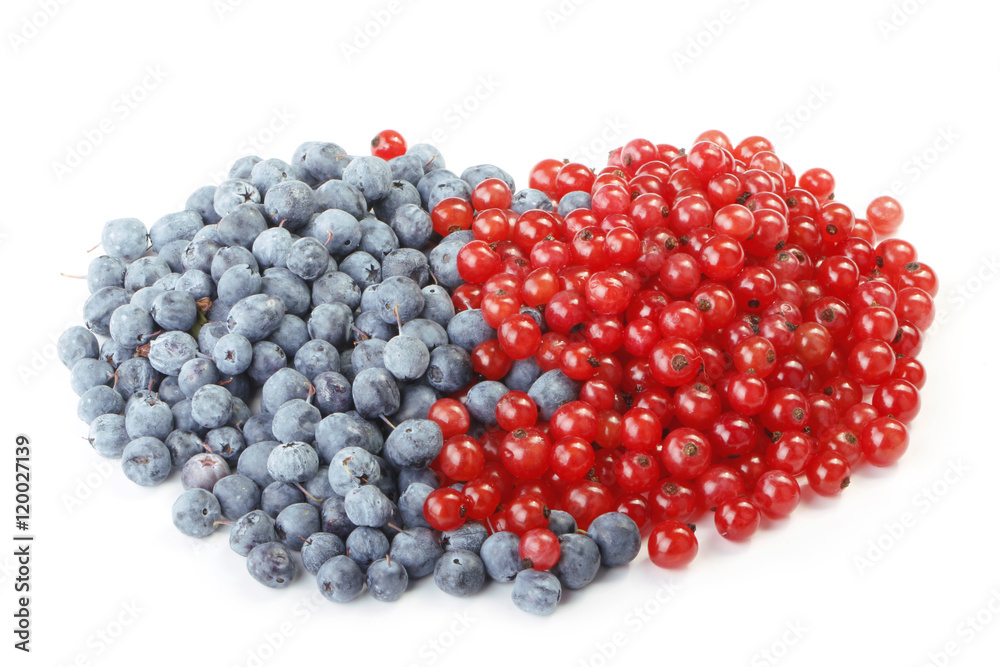 blueberry and red currant isolated blueberry and red currant isolated