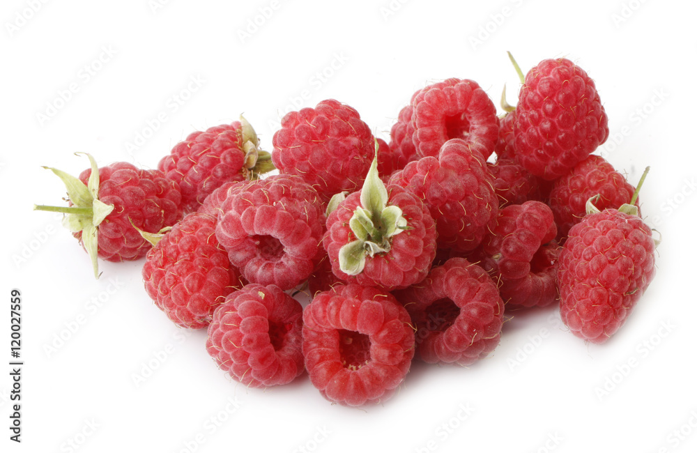 fresh raspberry isolated fresh raspberry isolated