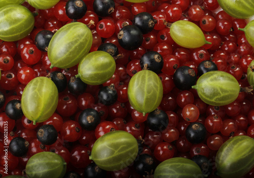 berries background