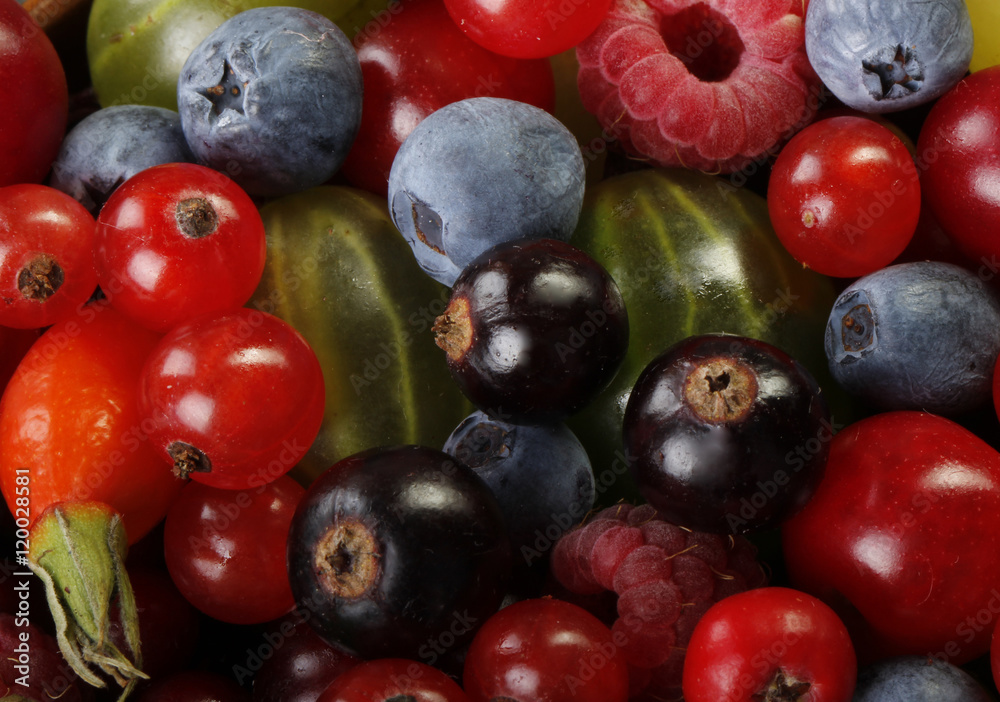berries background berries background