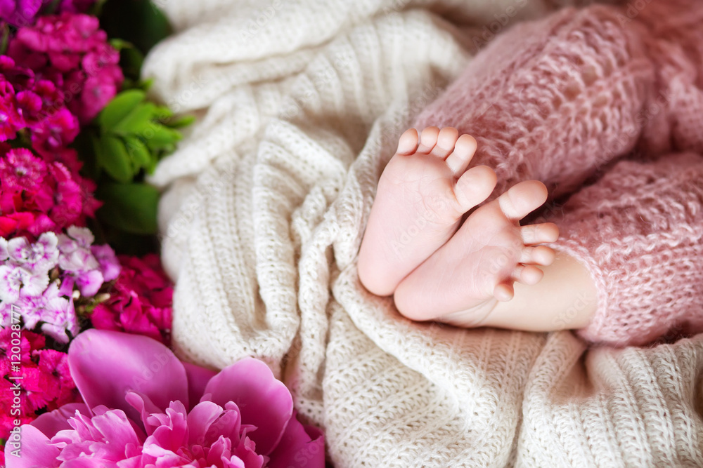 Close up picture of new born baby feet on knitted plaid in a flo Close up picture of new born baby feet on knitted plaid in a flo