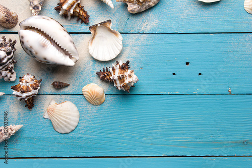 Marine summer postcard. Seashells on blue wooden boards in the sand on the beach