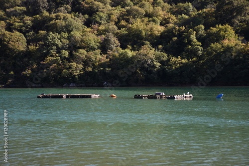 Limski Kanal, Limski Fjord, Bucht, Meer, Istrien, Limbucht, Limfjord, Schiff photo