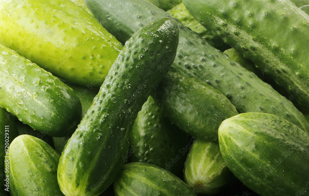 cucumbers background cucumbers background