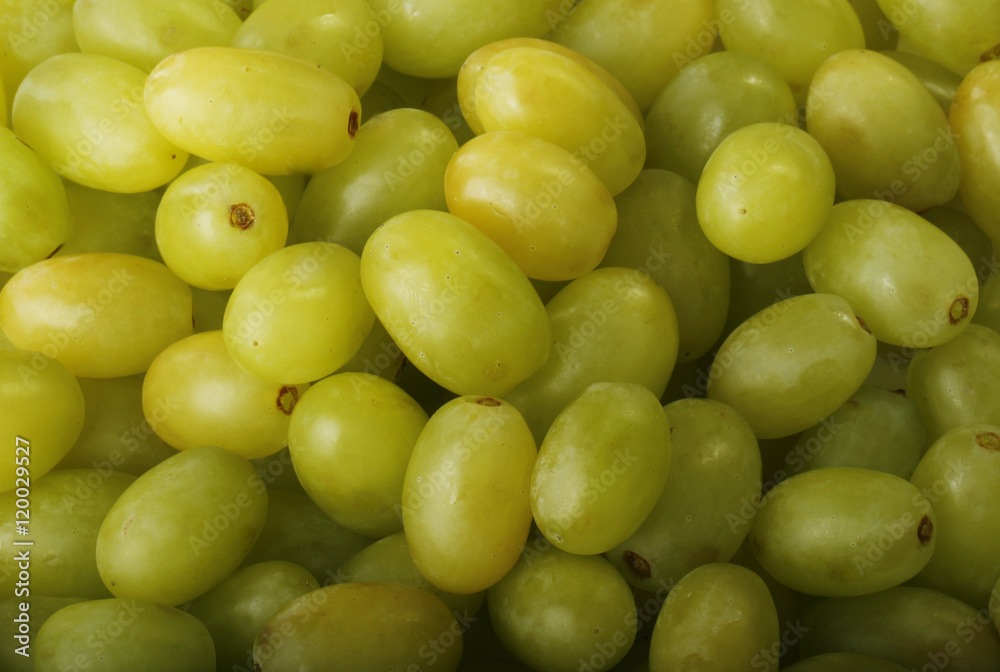 grapes background grapes background