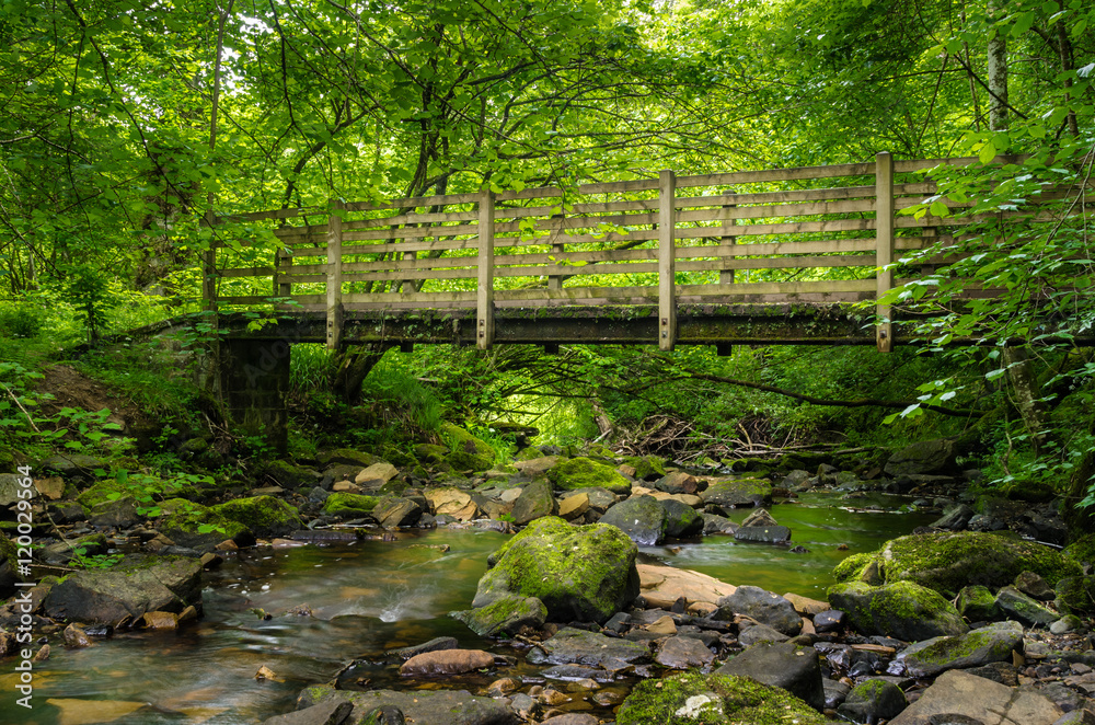 Wooden Bridge over a Mountain Stream Wooden Bridge over a Mountain Stream