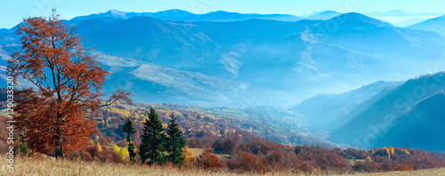 Carpathian autumn panorama.