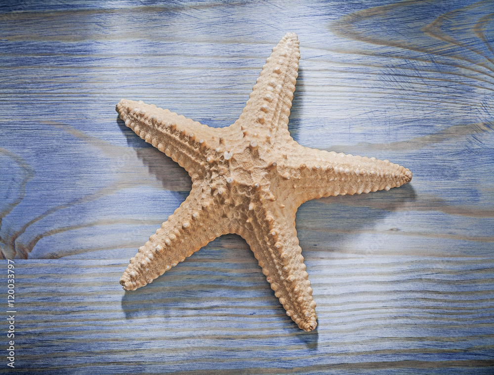 Starfish on wooden board top view spa concept Starfish on wooden board top view spa concept