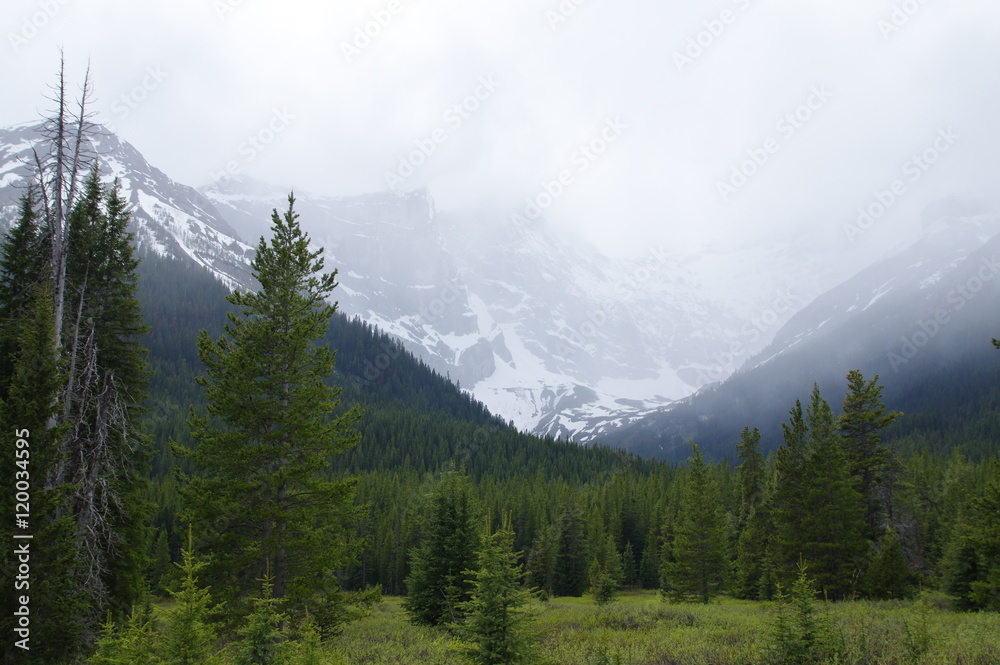 Obraz premium A lake on the Smith Dorrien Spray Trail in Kananaskis, Western Alberta Canada