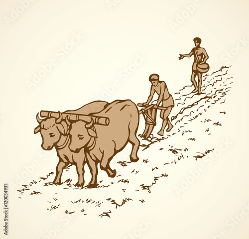 Vector drawing. Primitive agriculture. Peasants treated field