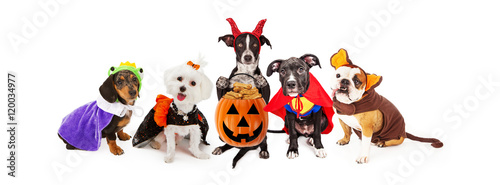 Принти на полотні Five Dogs Wearing Halloween Costumes Banner