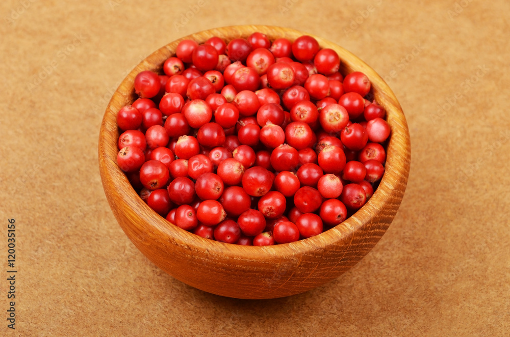 Lingonberry (Vaccinium vitis-idaea) Lingonberry (Vaccinium vitis-idaea)