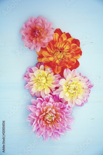 Grußkarte - Dahlien - Herbstblumen