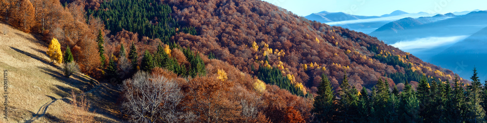 Rural road on autumn  mountain slope.