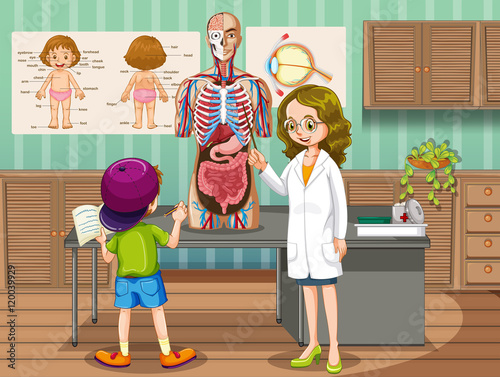 Doctor showing organs to kid