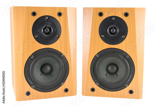 Wooden stereo speakers on white
