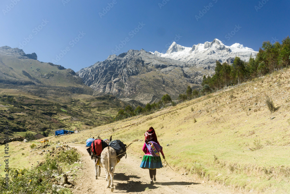 donkey driver on an expedition in the Cordillera Blanca in the Peruvian Andes