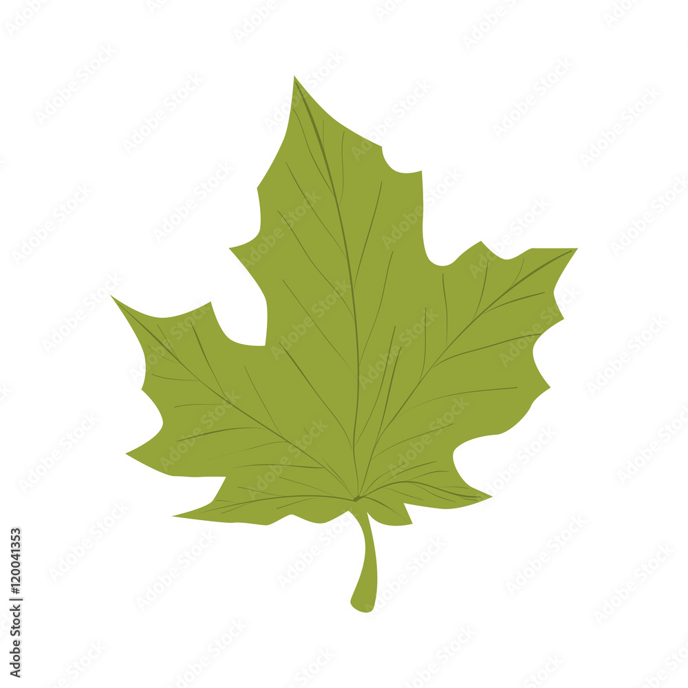 ecology green leaf plant natural sheet vector illustration ecology green leaf plant natural sheet vector illustration
