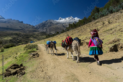 donkey driver on an expedition in the Cordillera Blanca in the Peruvian Andes