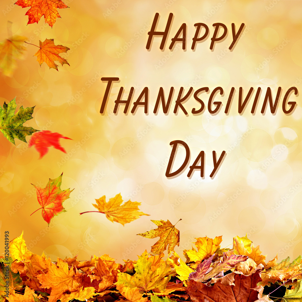 Happy Thanksgiving Day. Pile of autumn leaves on nature background