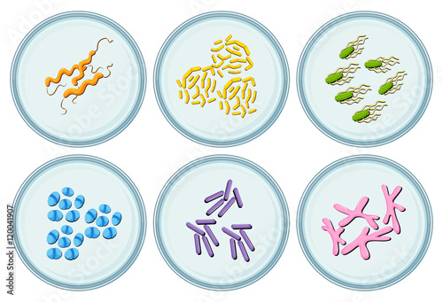 Different viruses on round plates