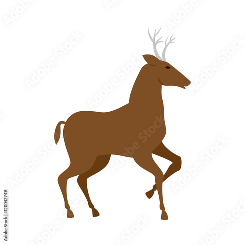 brown deer with horns and running. wildlife animal. vector illustration
