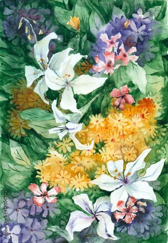 Watercolor painting. Floral background with white lilies.