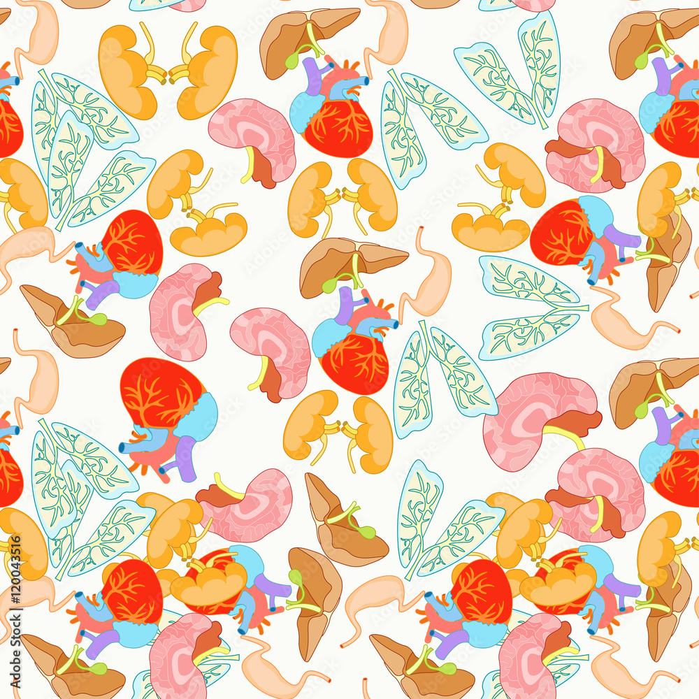 seamless pattern of human organs inside the body. seamless pattern of human organs inside the body.