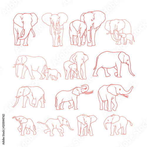 Elephant outline