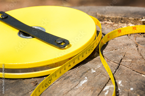 Measuring Tape (50 meters) on the stump.