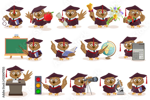 Big set owl teacher