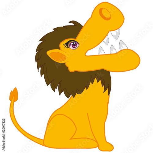 Animal lion on white