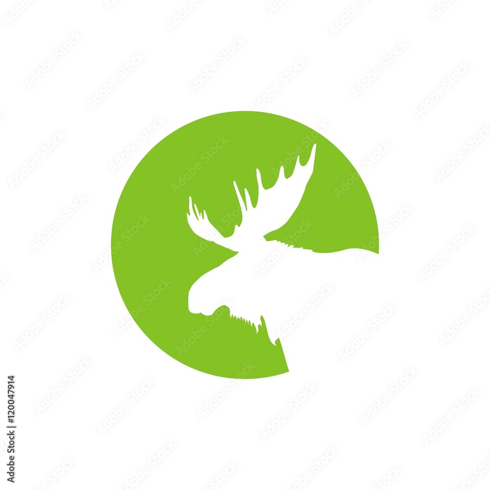 Obraz premium голова лося