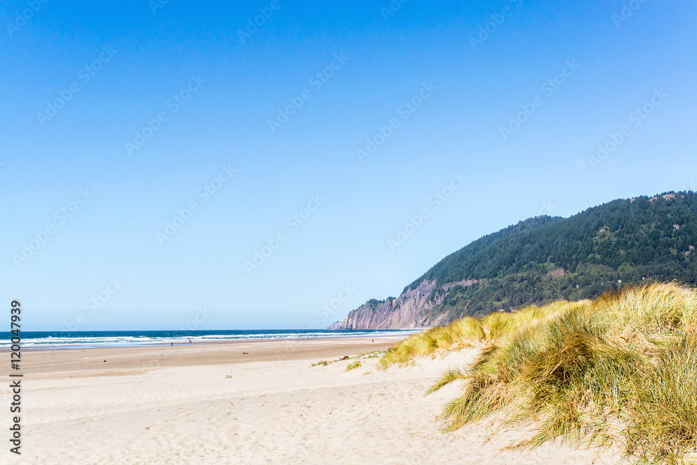 people walking at the edge of the sea on manzanita beach on the west american coast during a sunny day with cliff covered of forest and grass in the sand people walking at the edge of the sea on manzanita beach on the west american coast during a sunny day with cliff covered of forest and grass in the sand