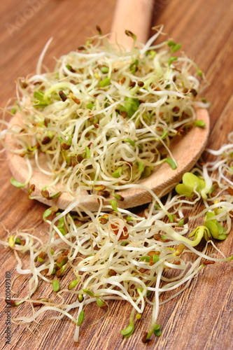 Alfalfa and radish sprouts on scoop  wooden background