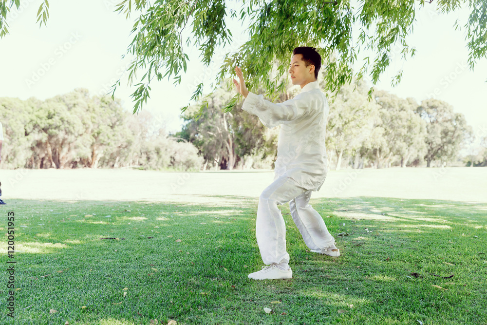 Handsome man practicing thai chi Handsome man practicing thai chi