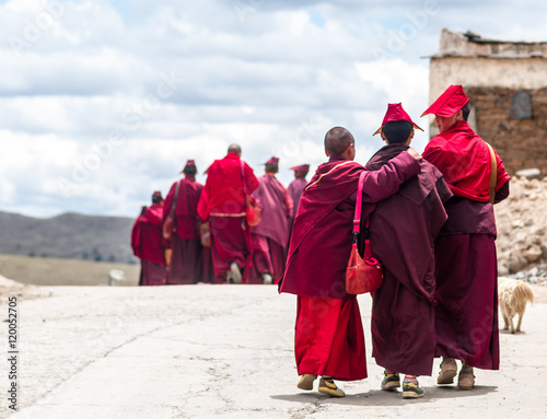 Bilde på lerret group of young tibetan monk students
