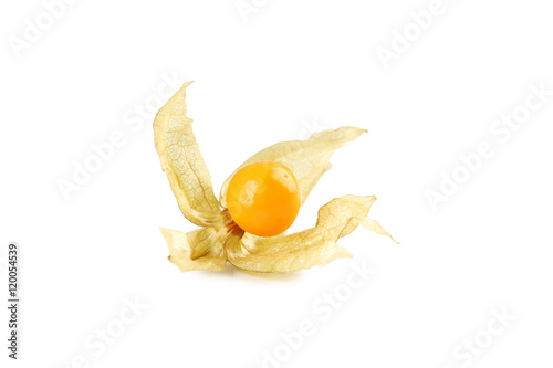 Ripe physalis isolated on a white background