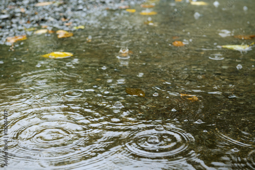 雨 雨