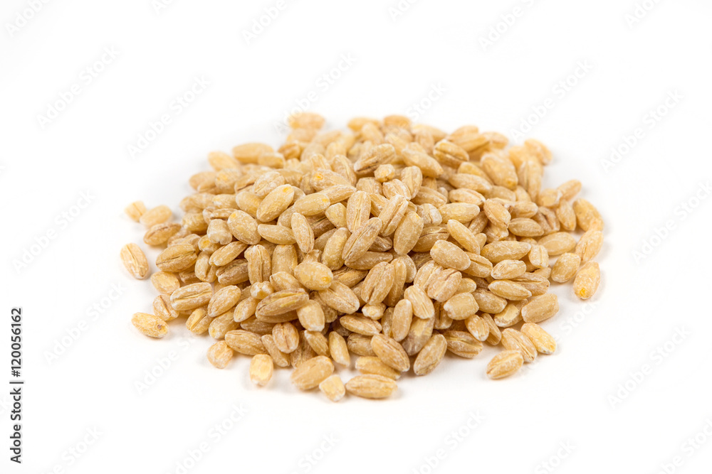 Pearl barley isolated on white background Pearl barley isolated on white background