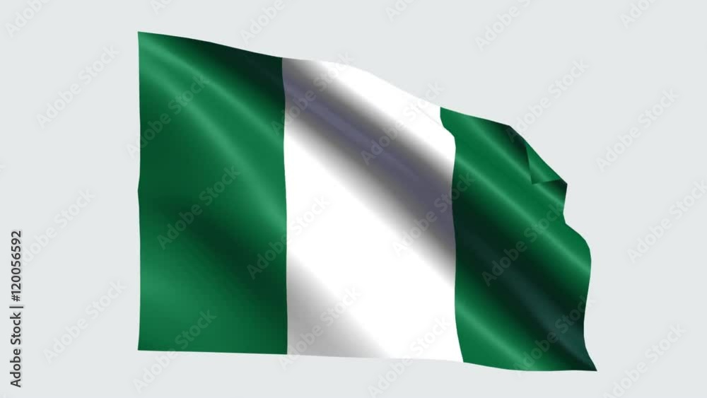 Nigeria flag with transparent background Nigeria flag with transparent background
