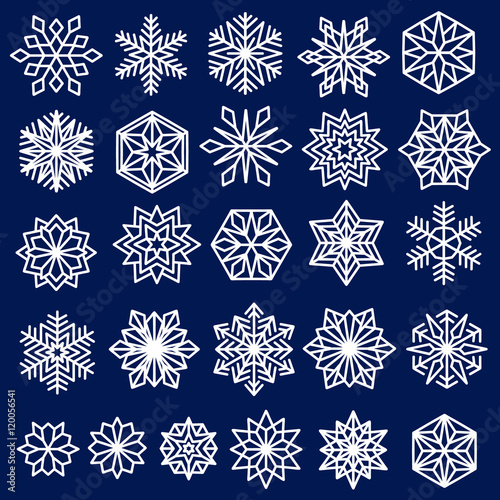 Blue Snowflakes Set Line Design