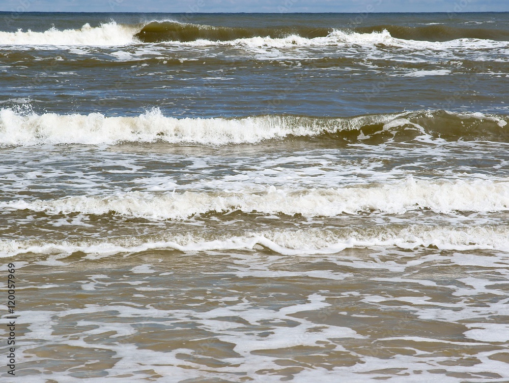 landscape of Baltic sea in summer