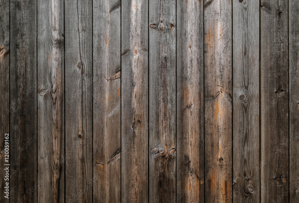 Fototapeta premium Wood texture background