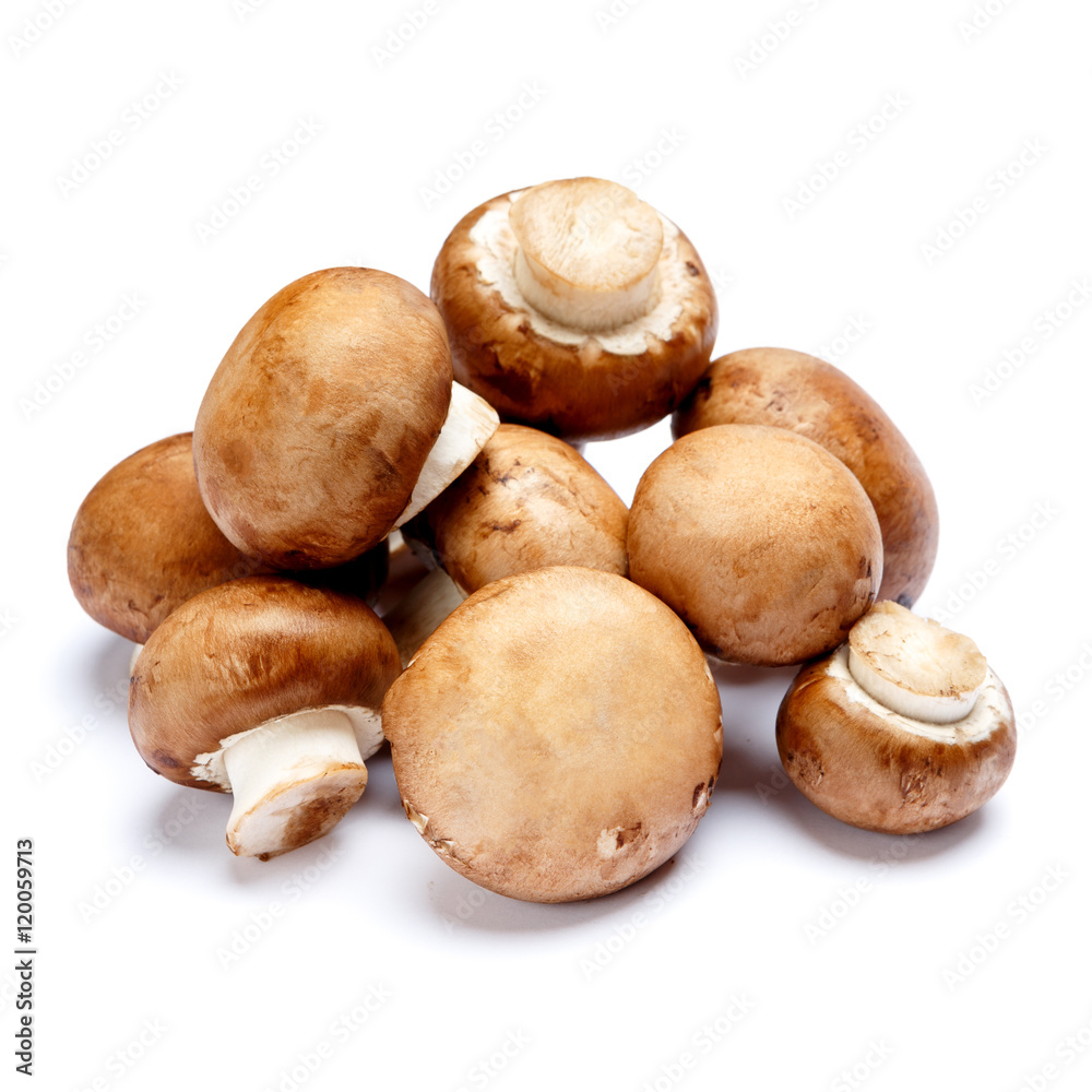 champignon mushroom isolated on white champignon mushroom isolated on white