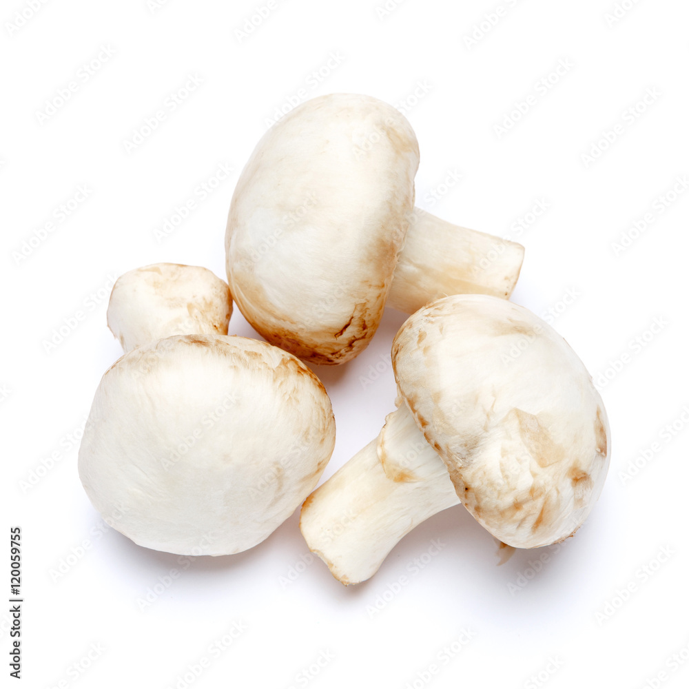 champignon mushroom isolated on white