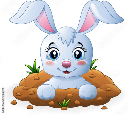 Happy bunny cartoon in the hole
