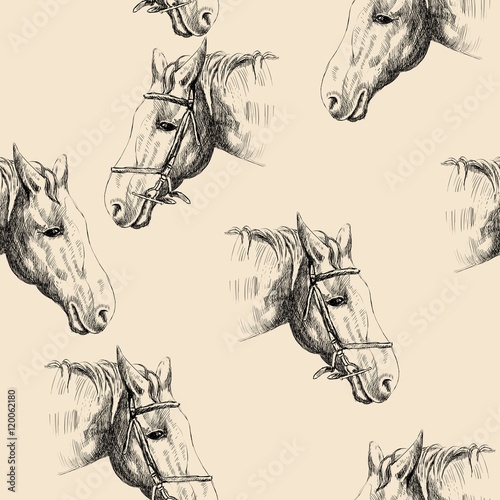 vector sketch of a horse's head. Seamless pattern