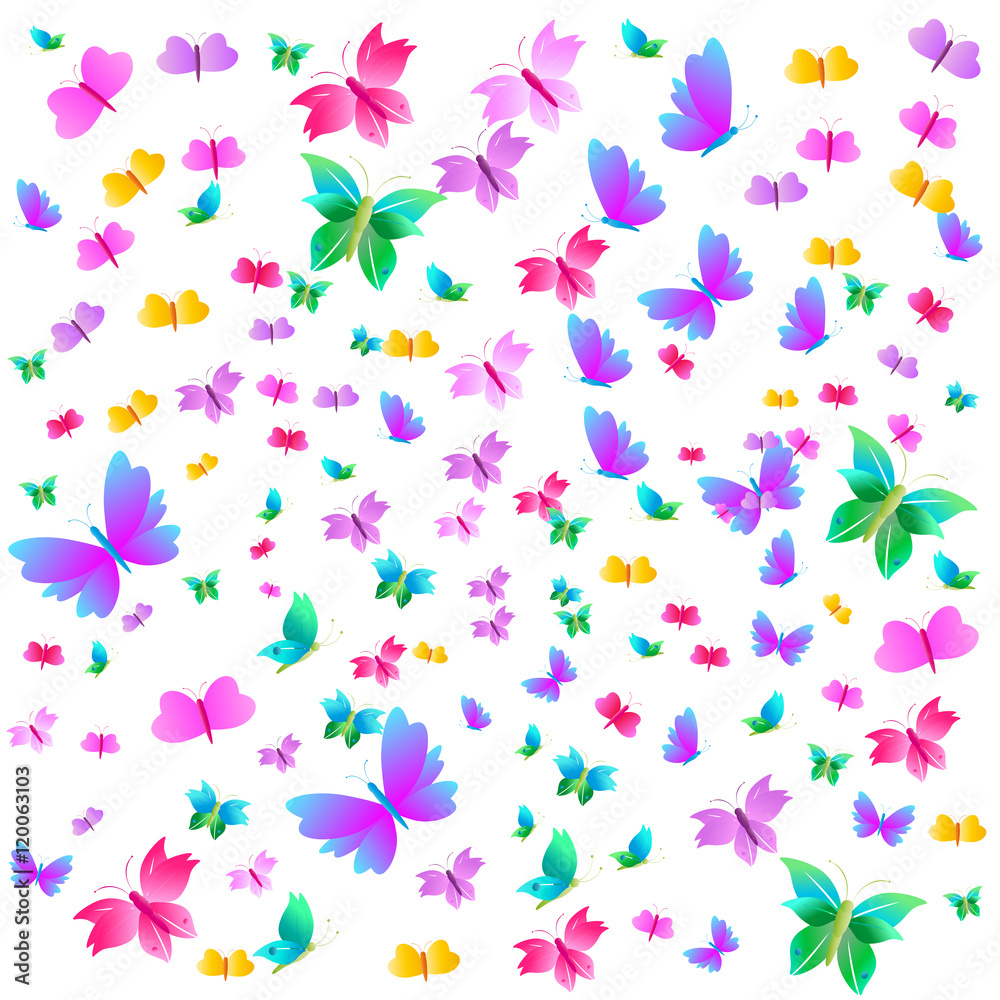 butterfly butterfly
