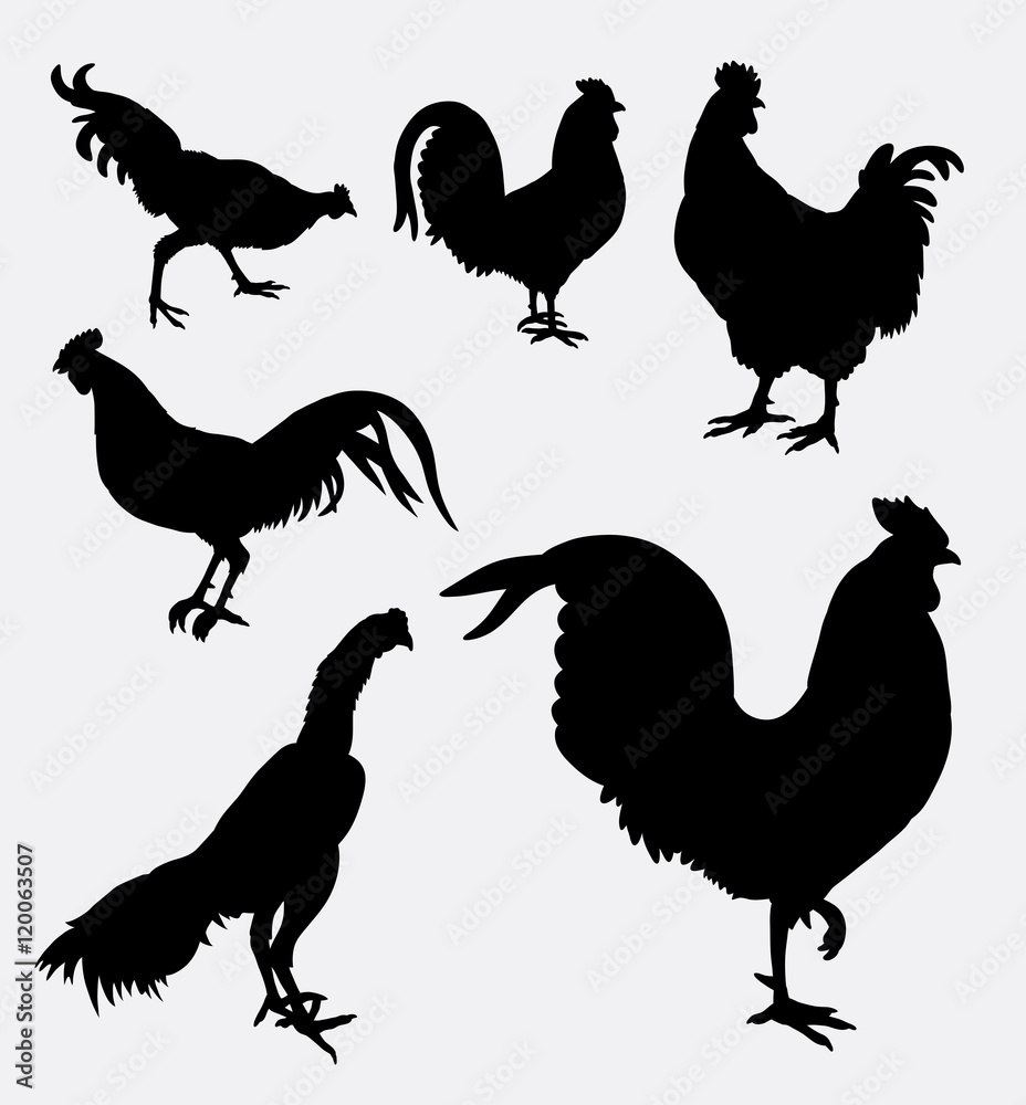 Fototapeta premium Rooster and chicken animal silhouette. Good use for symbol, logo, web icon, sticker, sign, mascot, or any design you want.